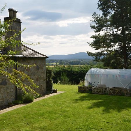 Amazing Cottage With Private Indoor Swim Pool And Hot Tub Grantown-on-Spey Экстерьер фото